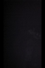 20110811_013917.jpg